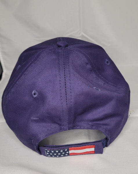 Americana Flag Sandwich Cap with Hornet Flag Logo